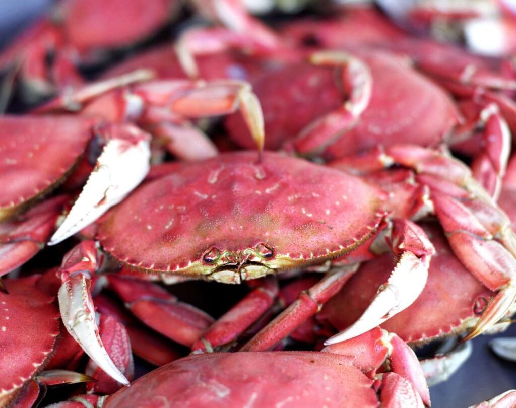 Dungeness Crab is a seasonal san francisco treat