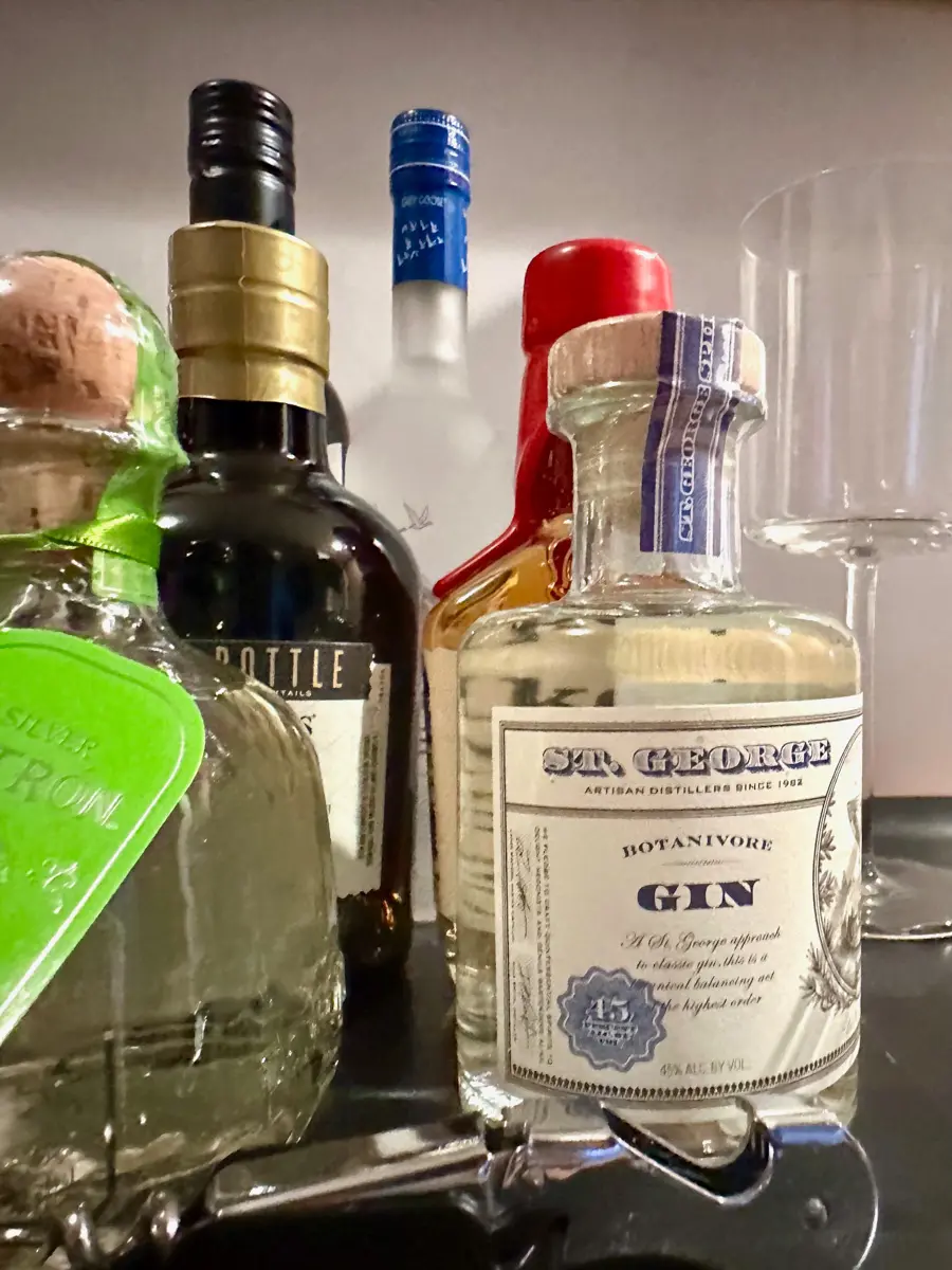 mini bar in jay hotel with st george gin