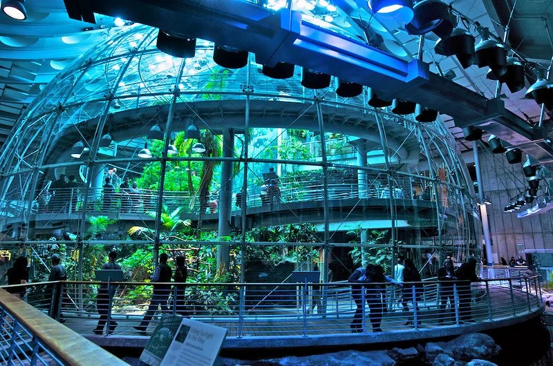   The California Academy of Sciences is popular for good reason  