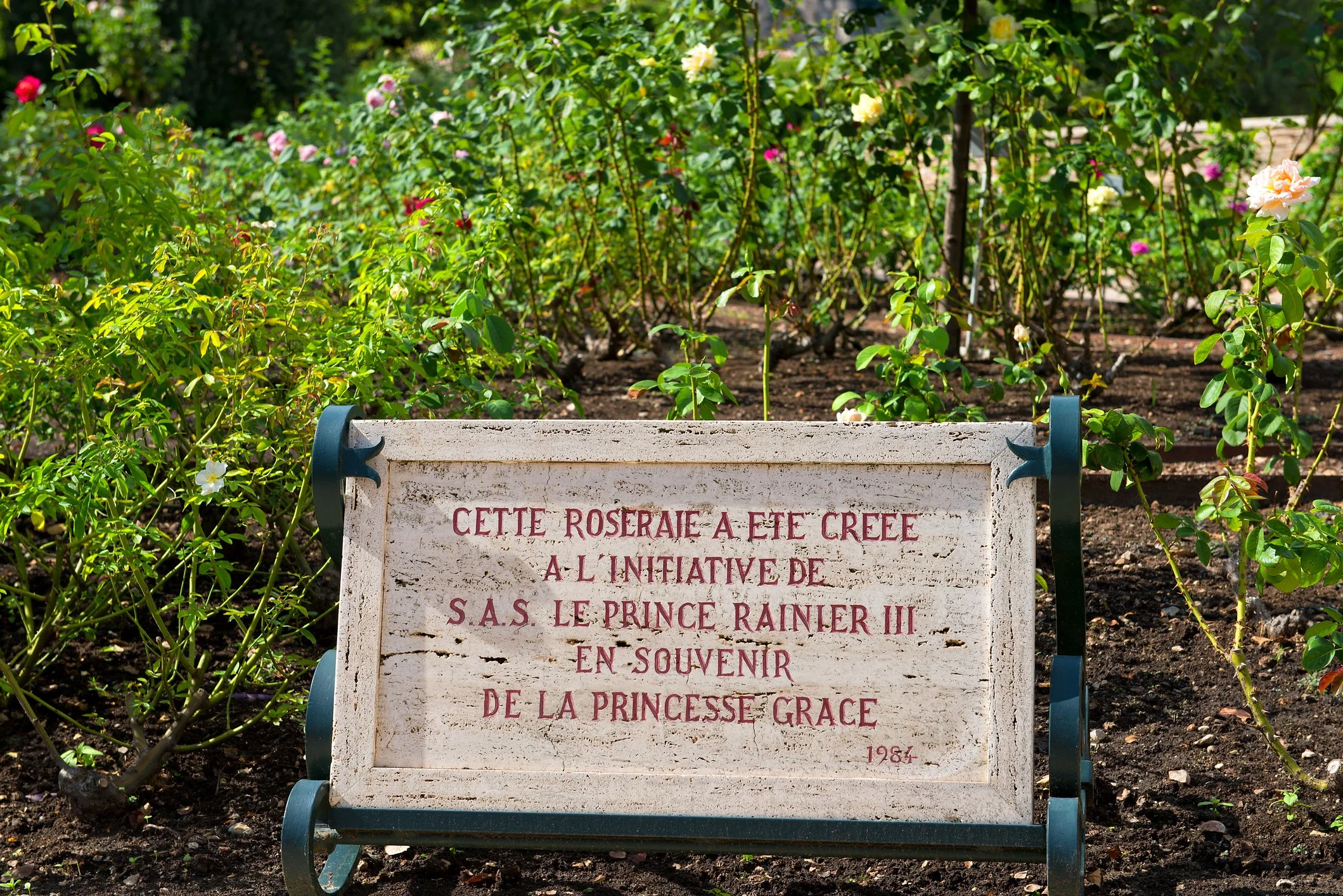   The Princess Grace Rose Garden in Monaco was dedicated in 1984 and is now home to more than 5000 roses.  Photo by Ingo Dörenberg 