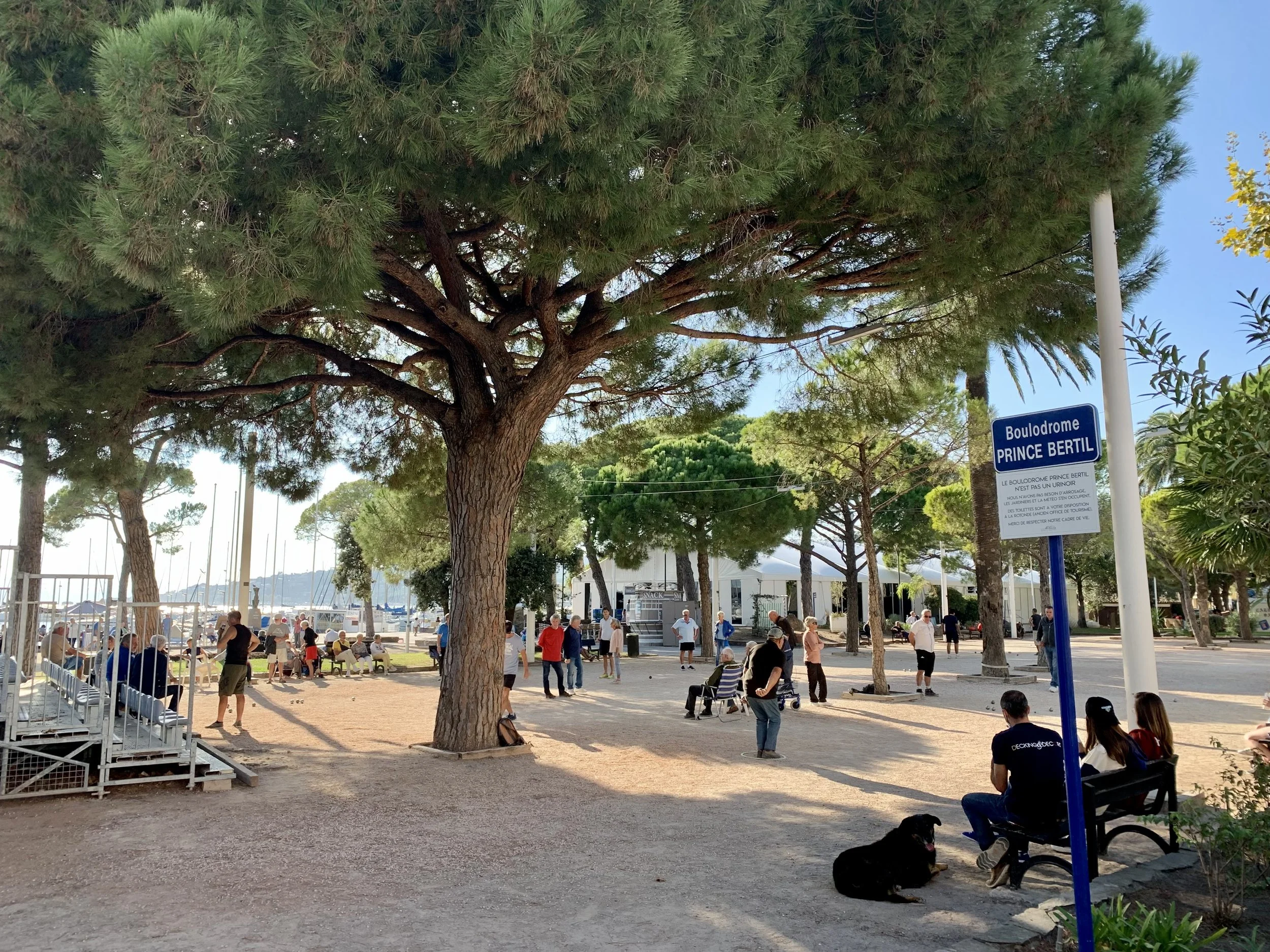  Ground zero for pétanque in Sainte-Maxime 