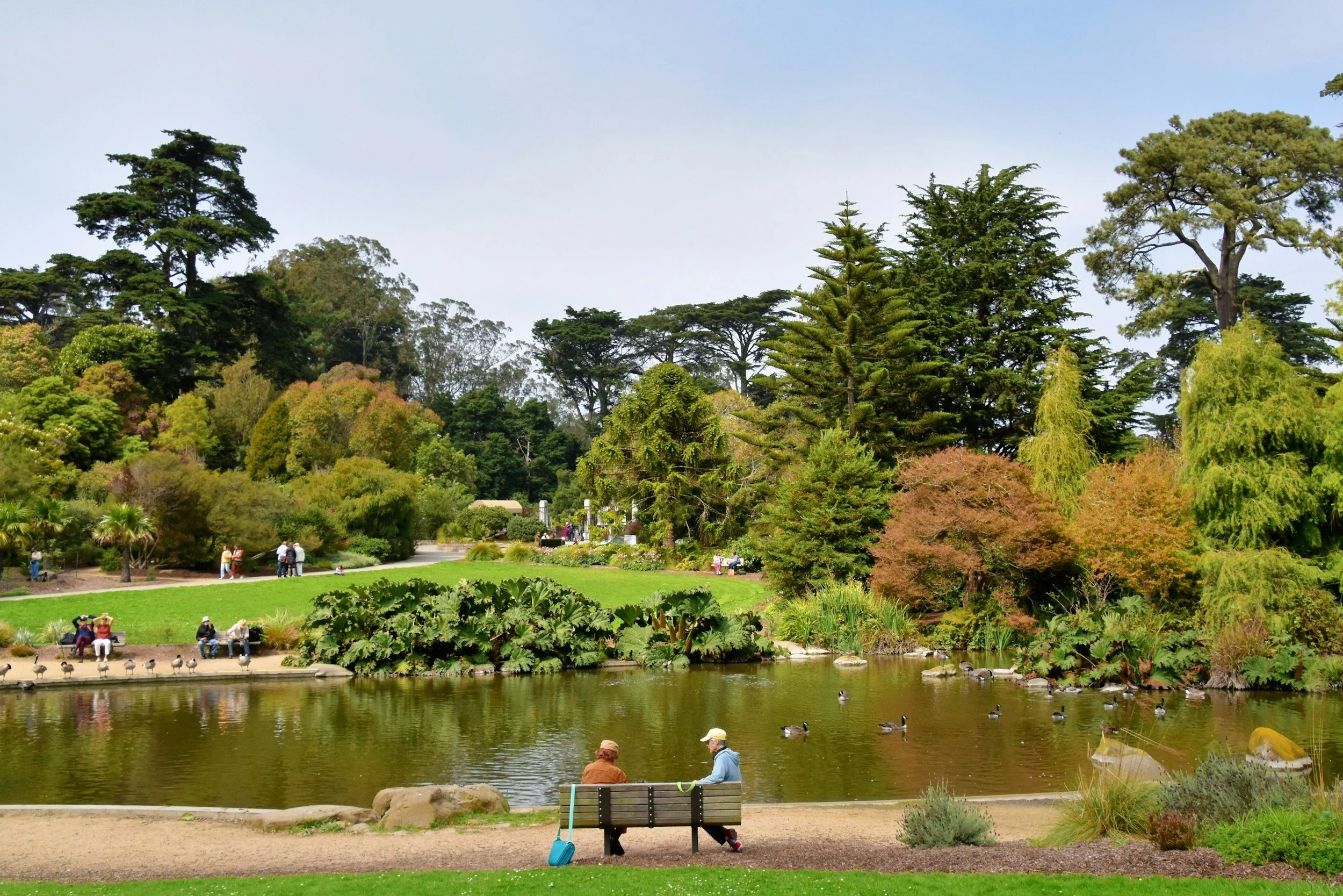 Couple sitting by a pond on a bench in Golden Gate Park