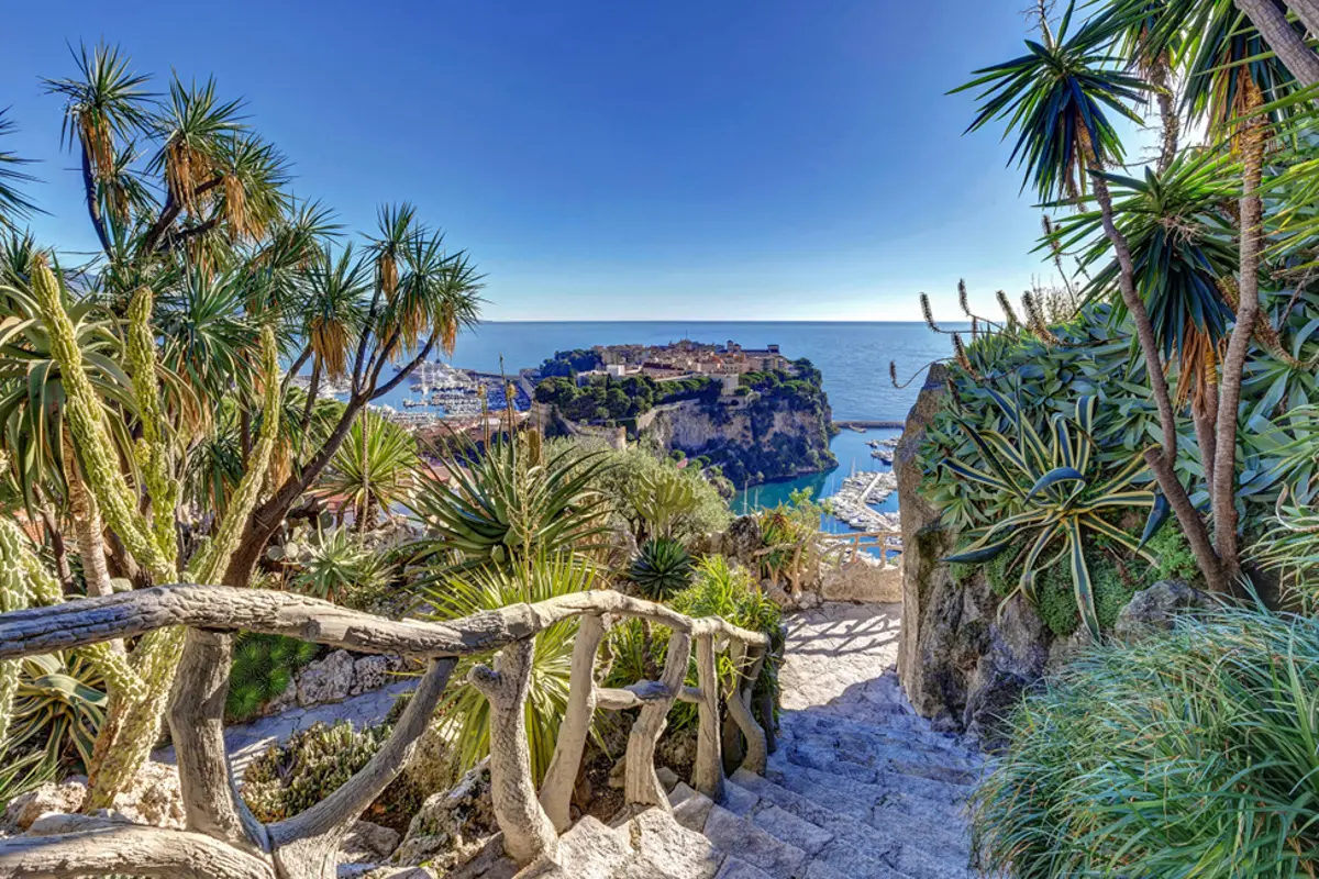 exotic gardens of monaco on the french riviera