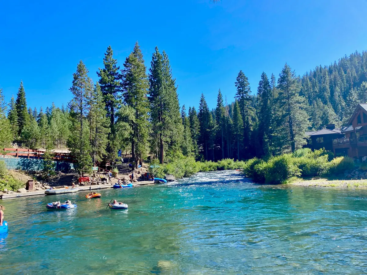 tubes on the truckee river with pine trees and blue sky
