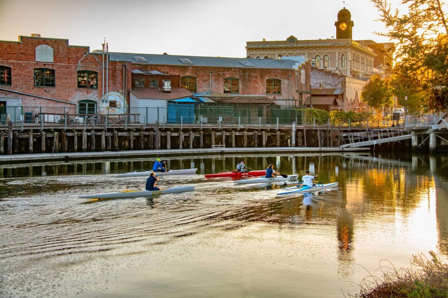kayaking on the Petaluma river,  an easy day trip from san francisco