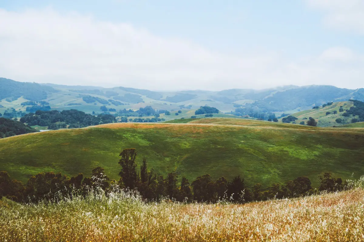 helen putnam park in petaluma with rolling hills and hiking trails