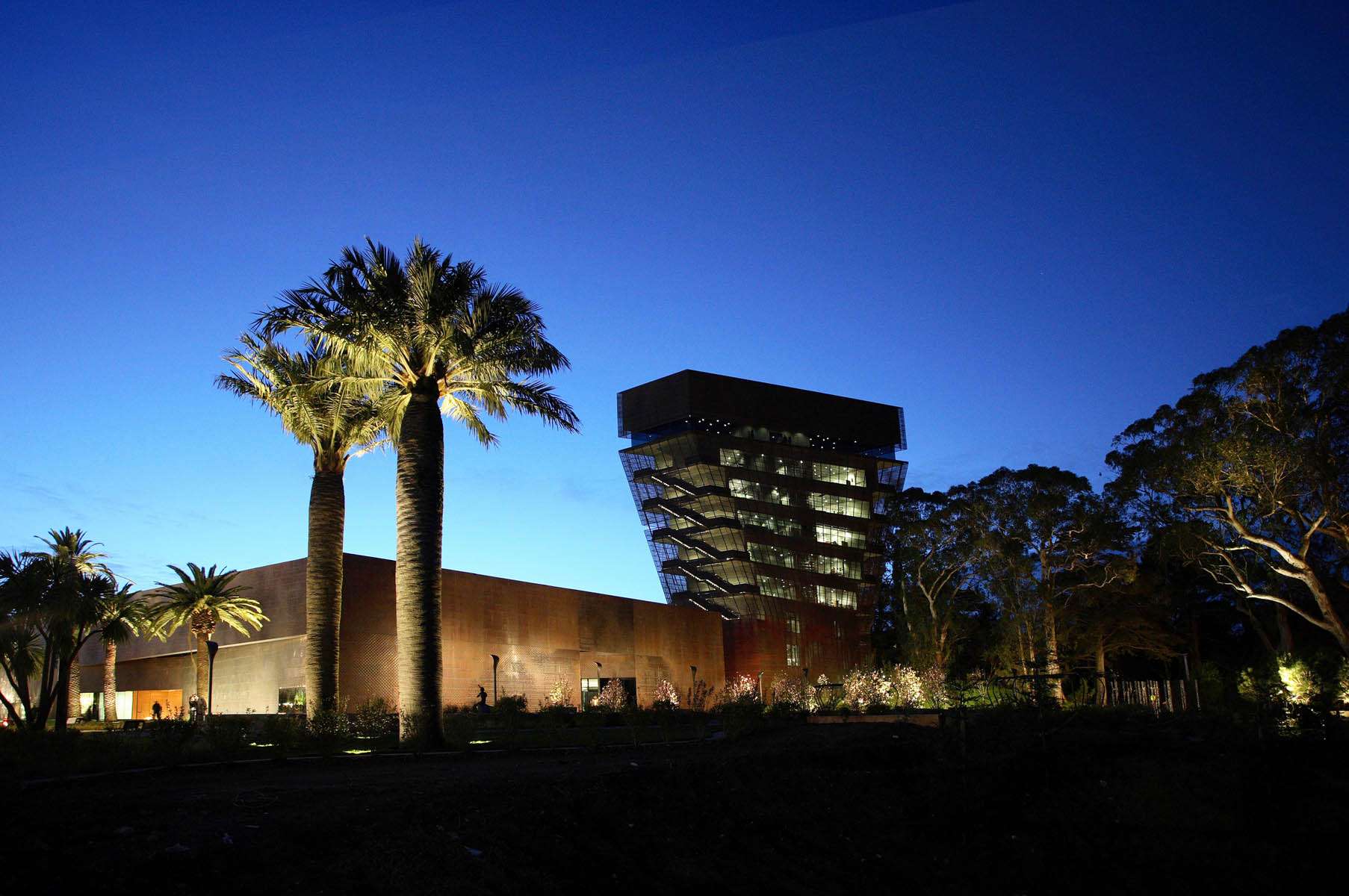 Golden Gate park at night and the de Young Museum