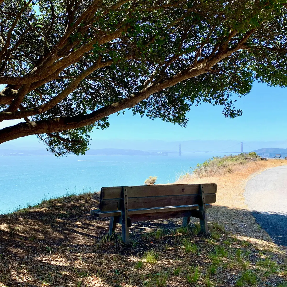 a view from the perimeter path on angel island with bench and golden gate bridge