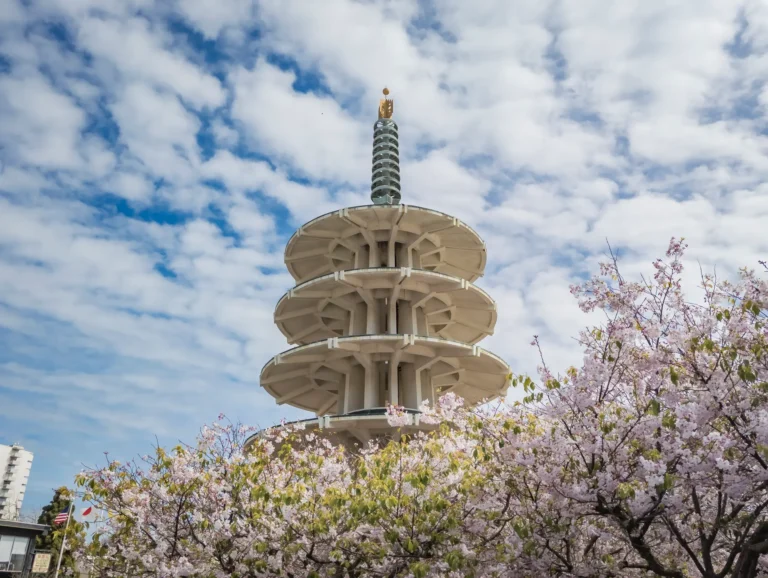 japantown san francisco peace pagoda with blooming cherry blossoms