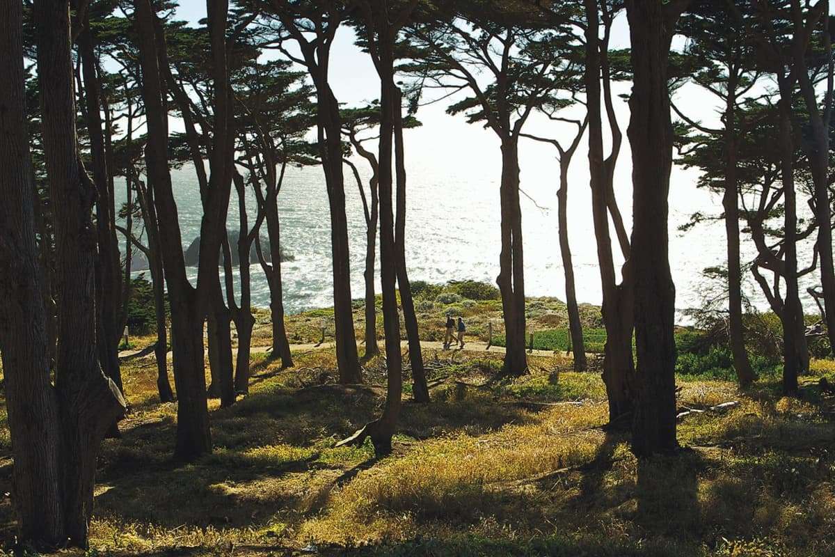 lands end trail in San Francisco
