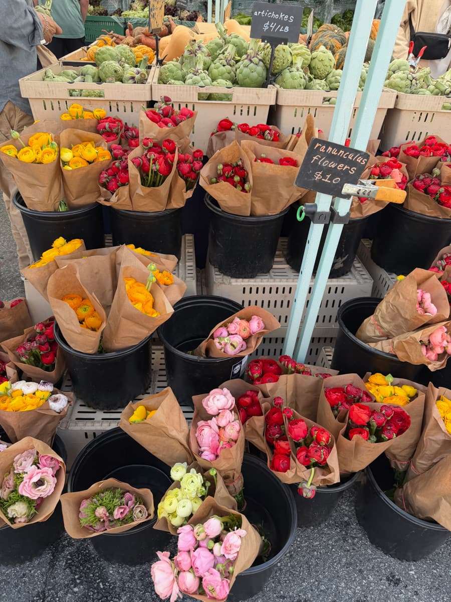 clement street farmers market flowers san francisco