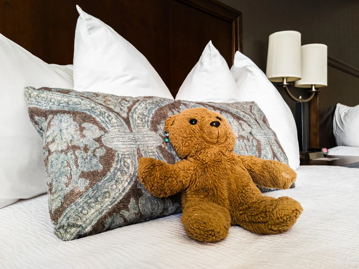 family friendly hotel teddy bear 
