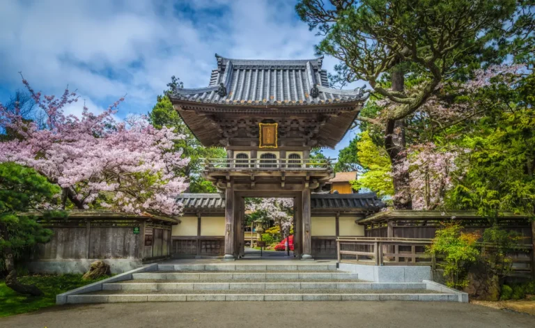 entrance to san francisco japanese tea garden with cherry blossom on both sides