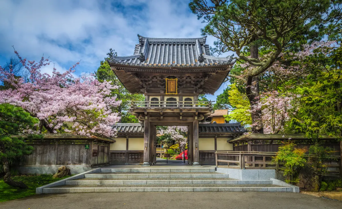entrance to san francisco japanese tea garden with cherry blossom on both sides
