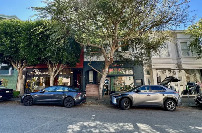 treelined sacramento street in presidio heights san francisco