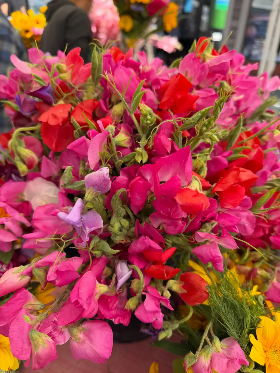sweet pea bouquet on clement steret san francisco