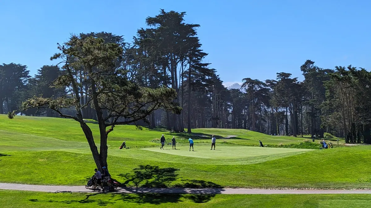 Golfing in the presidio at the presidio golf course
