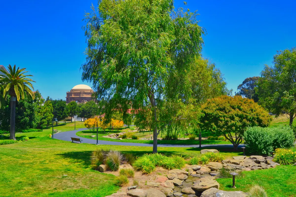 sunny san francisco day in the presidio