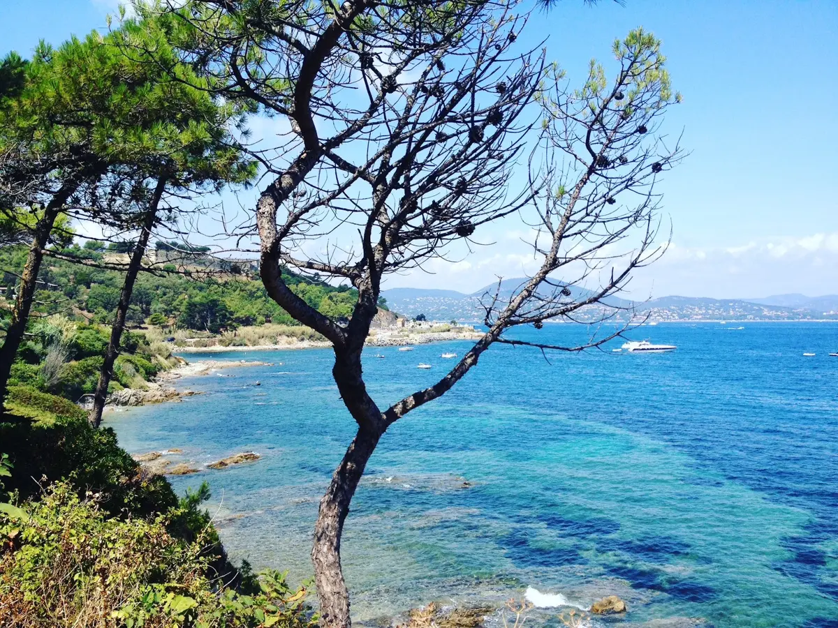 wild walk along the coastline of the french riviera