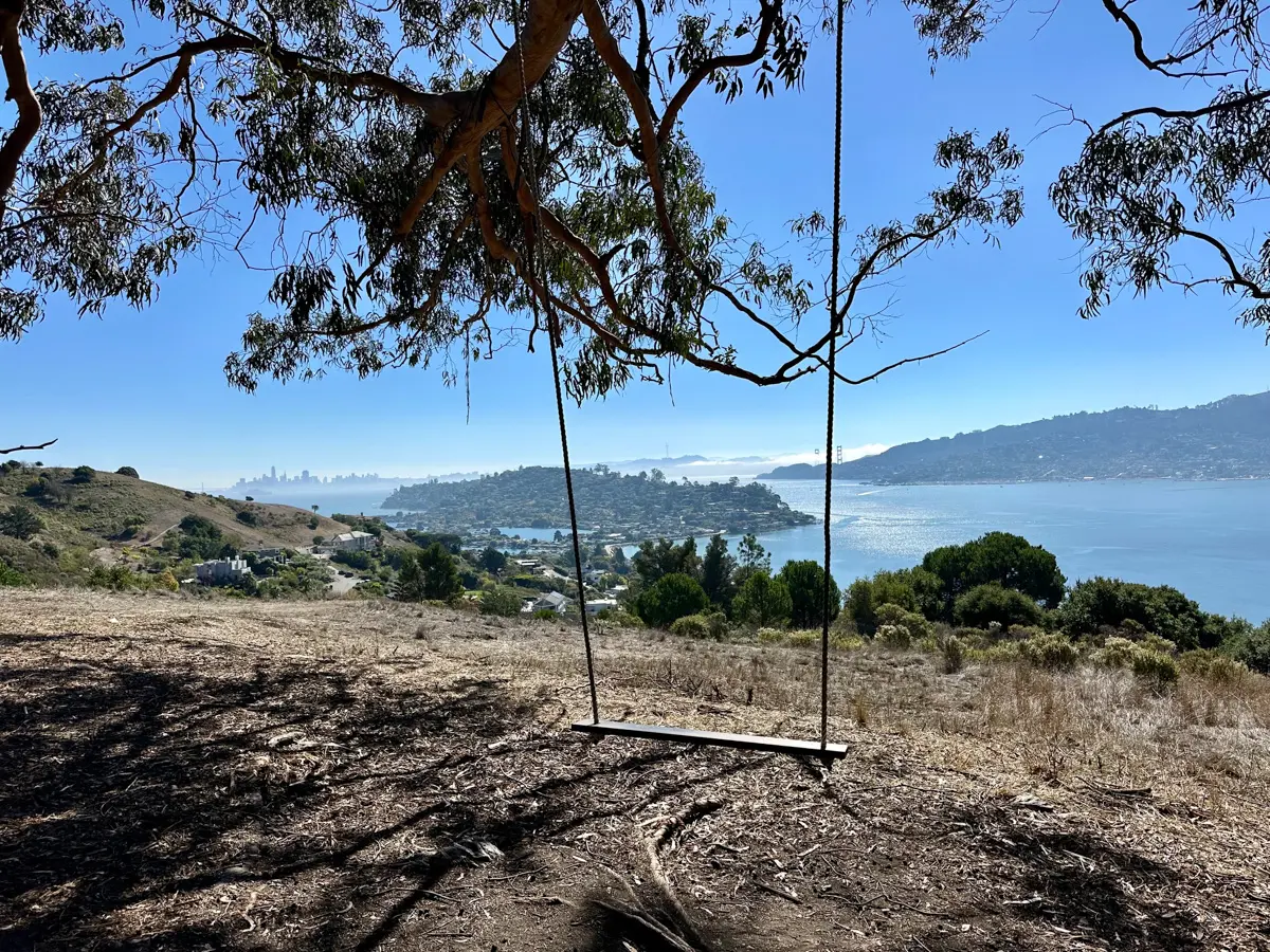hippie tree tiburon with bay views