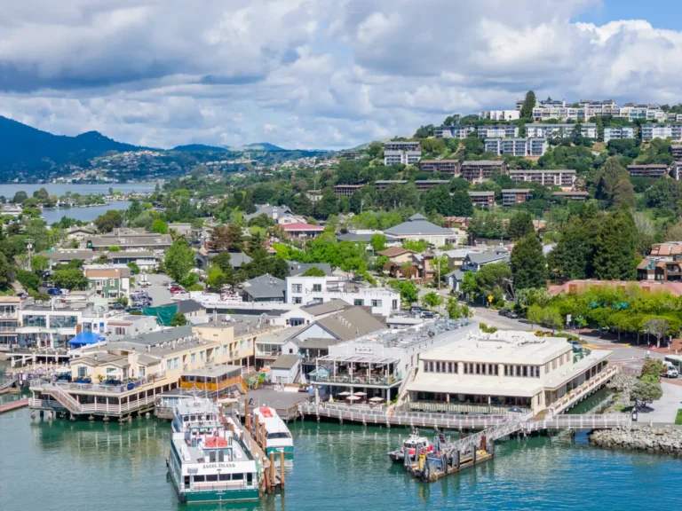 tiburon, california, from the air photo by diane bentley raymond