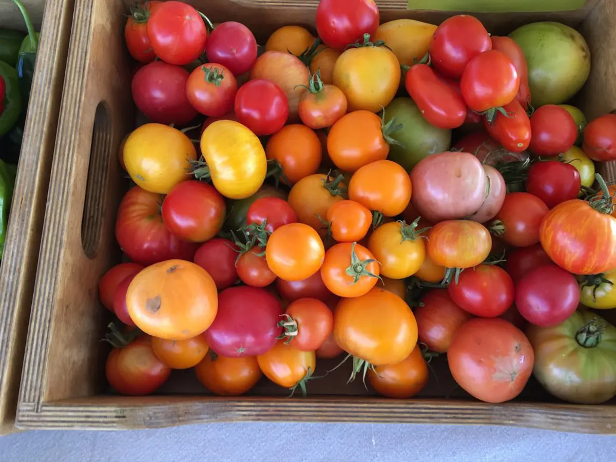 mendocino farmers market tomatoes