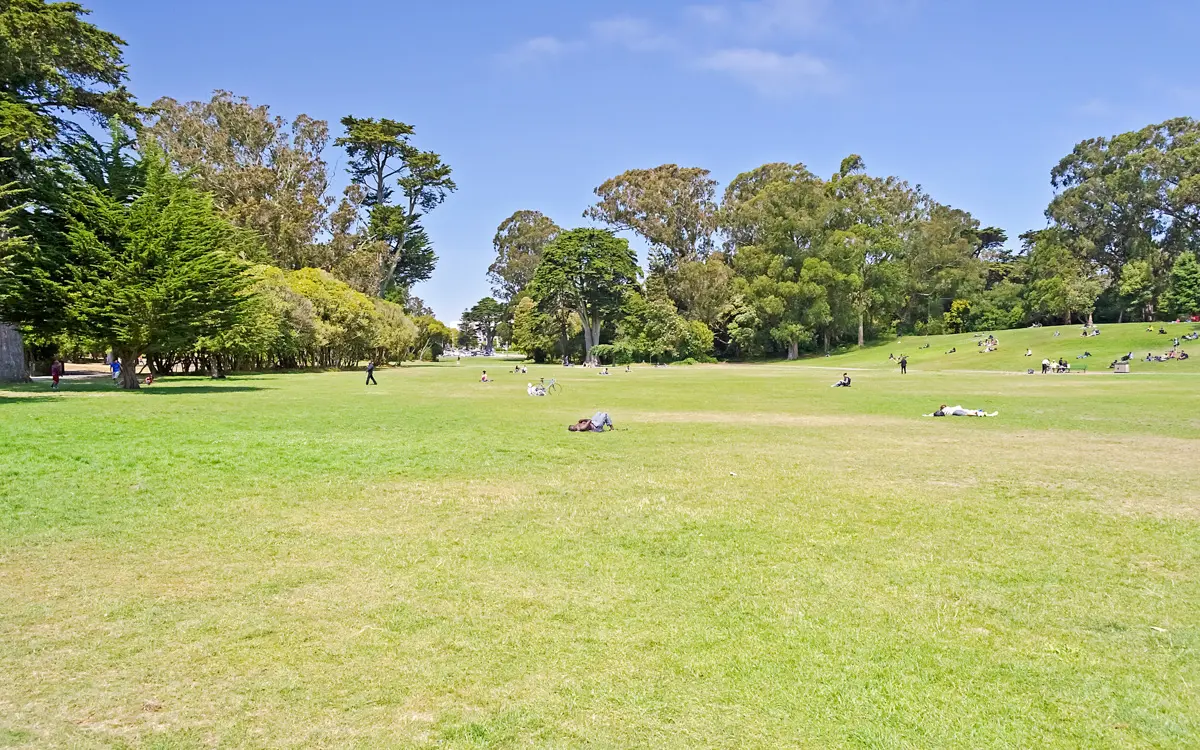 golden gate park meadow with people in the sun