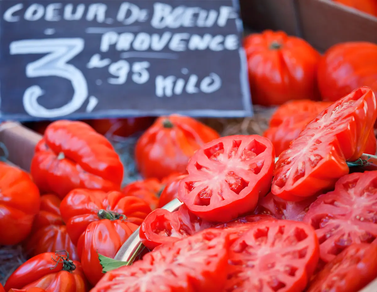 tomatoes at a provencal market