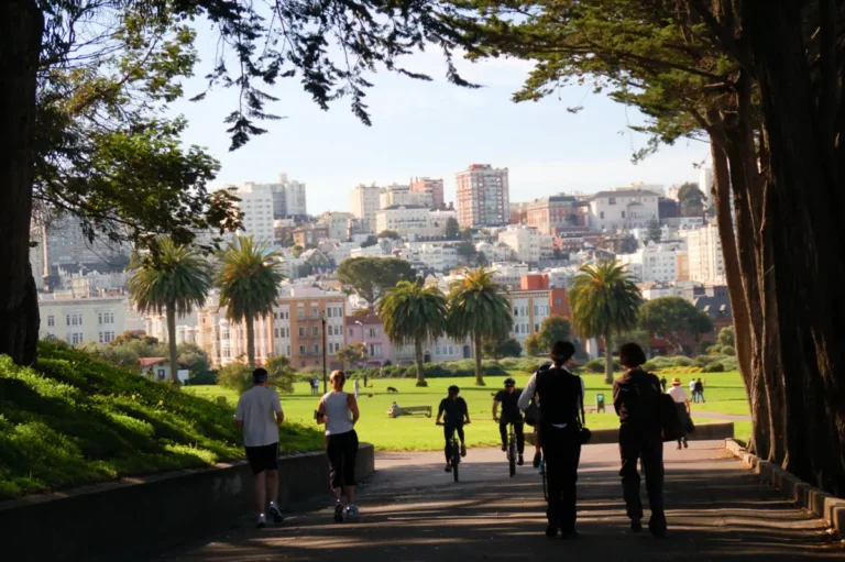 active walkers and bikers in san francisco park trail